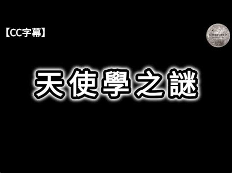 7 數字|七的象徵意義與意義